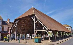 Milly Cocoon / Centre Ville